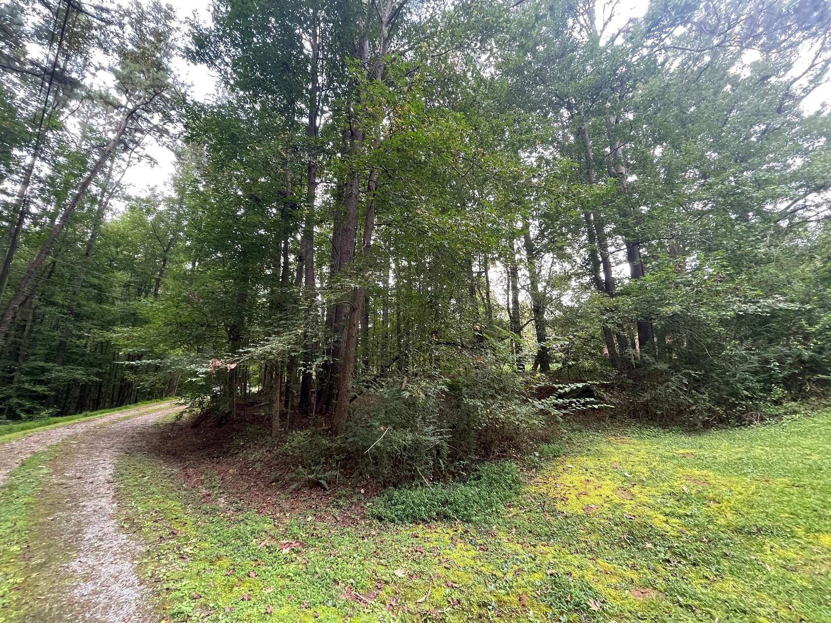 0.26 Acres of Residential Land for Sale in Tallapoosa, Georgia