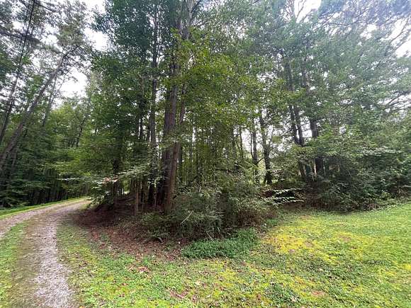 0.26 Acres of Residential Land for Sale in Tallapoosa, Georgia