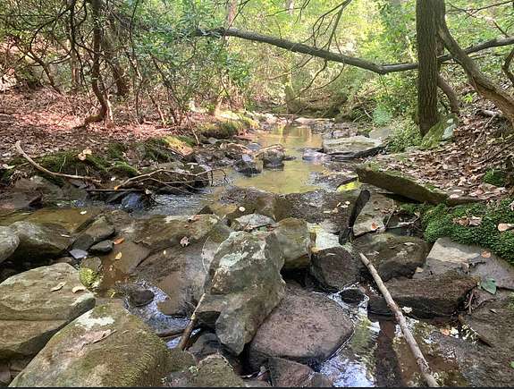 346 Acres of Recreational Land for Sale in Rising Fawn, Georgia