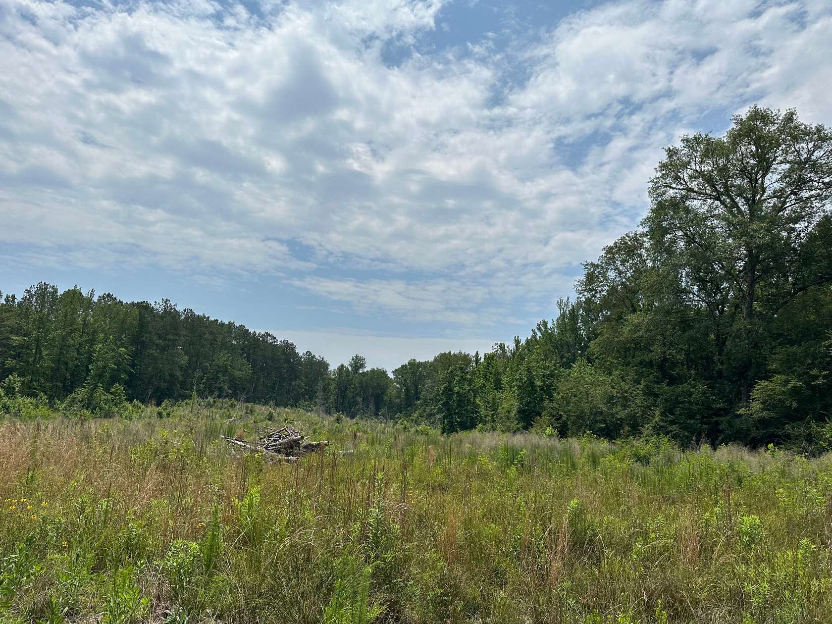 32 Acres of Recreational Land for Sale in Minter, Alabama