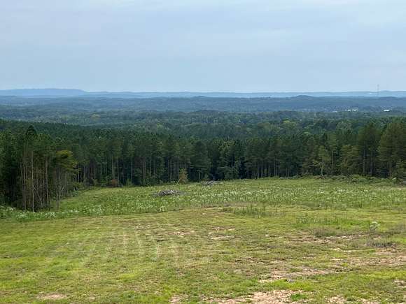 960 Acres of Recreational Land & Farm for Sale in Remlap, Alabama