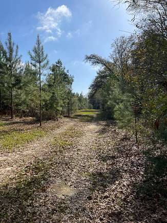 60 Acres of Recreational Land & Farm for Sale in Andalusia, Alabama