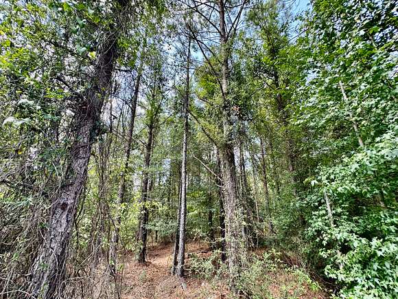 40 Acres of Recreational Land for Sale in Plantersville, Alabama