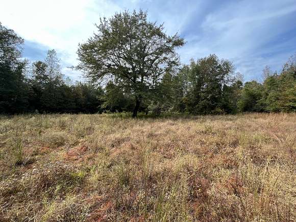 360 Acres of Recreational Land for Sale in Greenville, Alabama