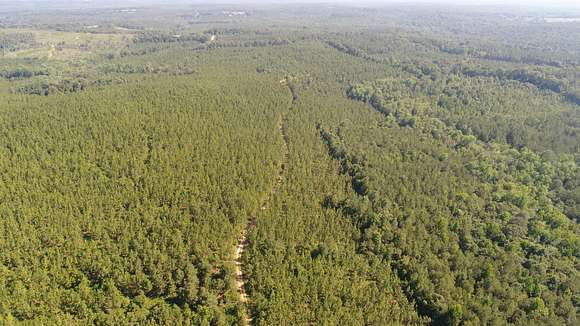 153 Acres of Recreational Land for Sale in Petrey, Alabama
