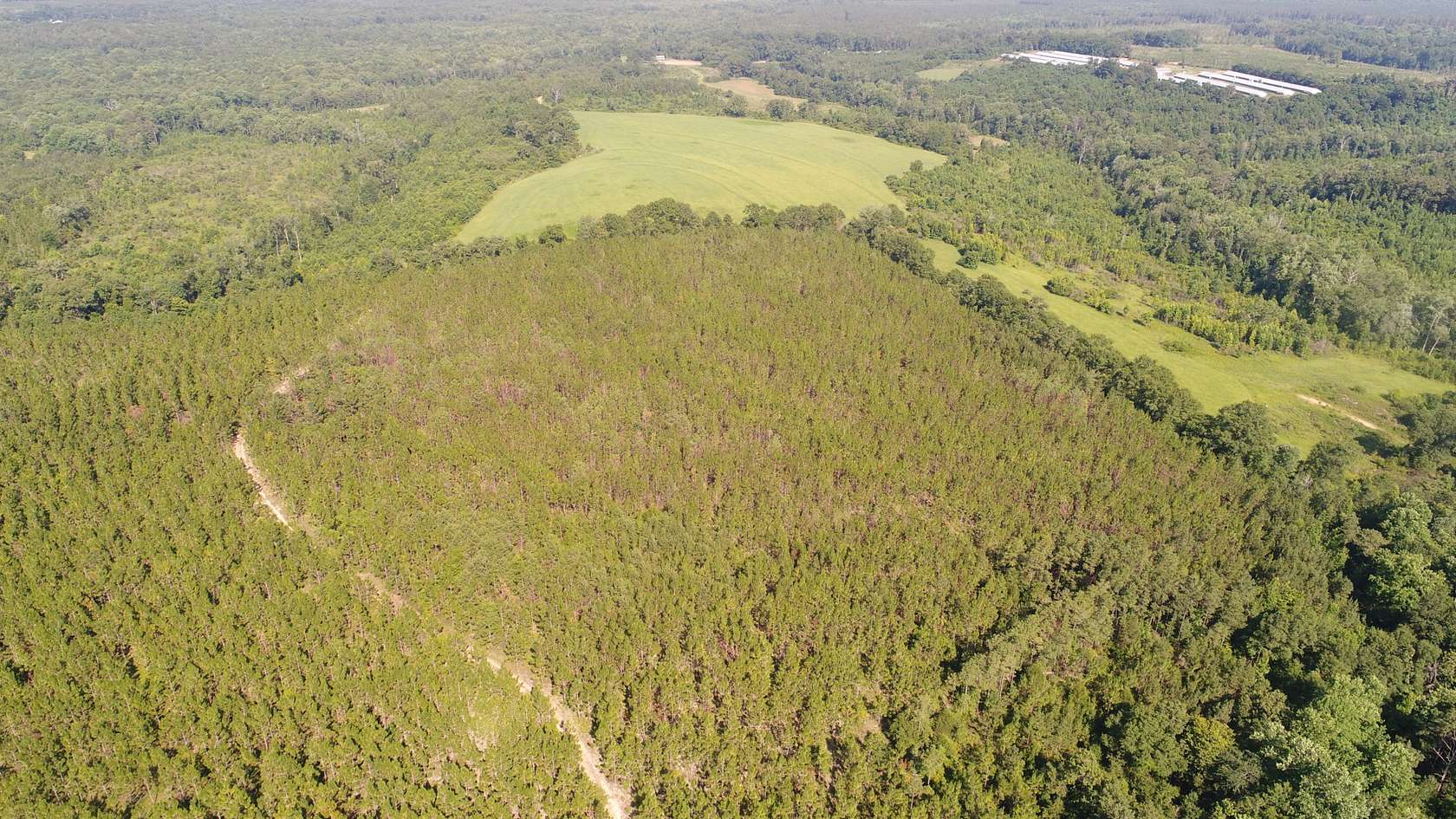 161 Acres of Recreational Land for Sale in Petrey, Alabama