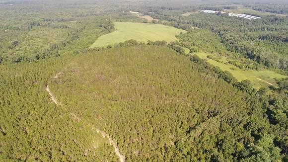 161 Acres of Recreational Land for Sale in Petrey, Alabama