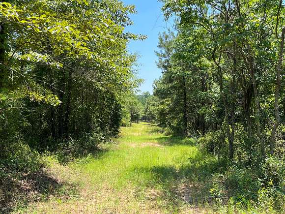 119 Acres of Recreational Land for Sale in Luverne, Alabama