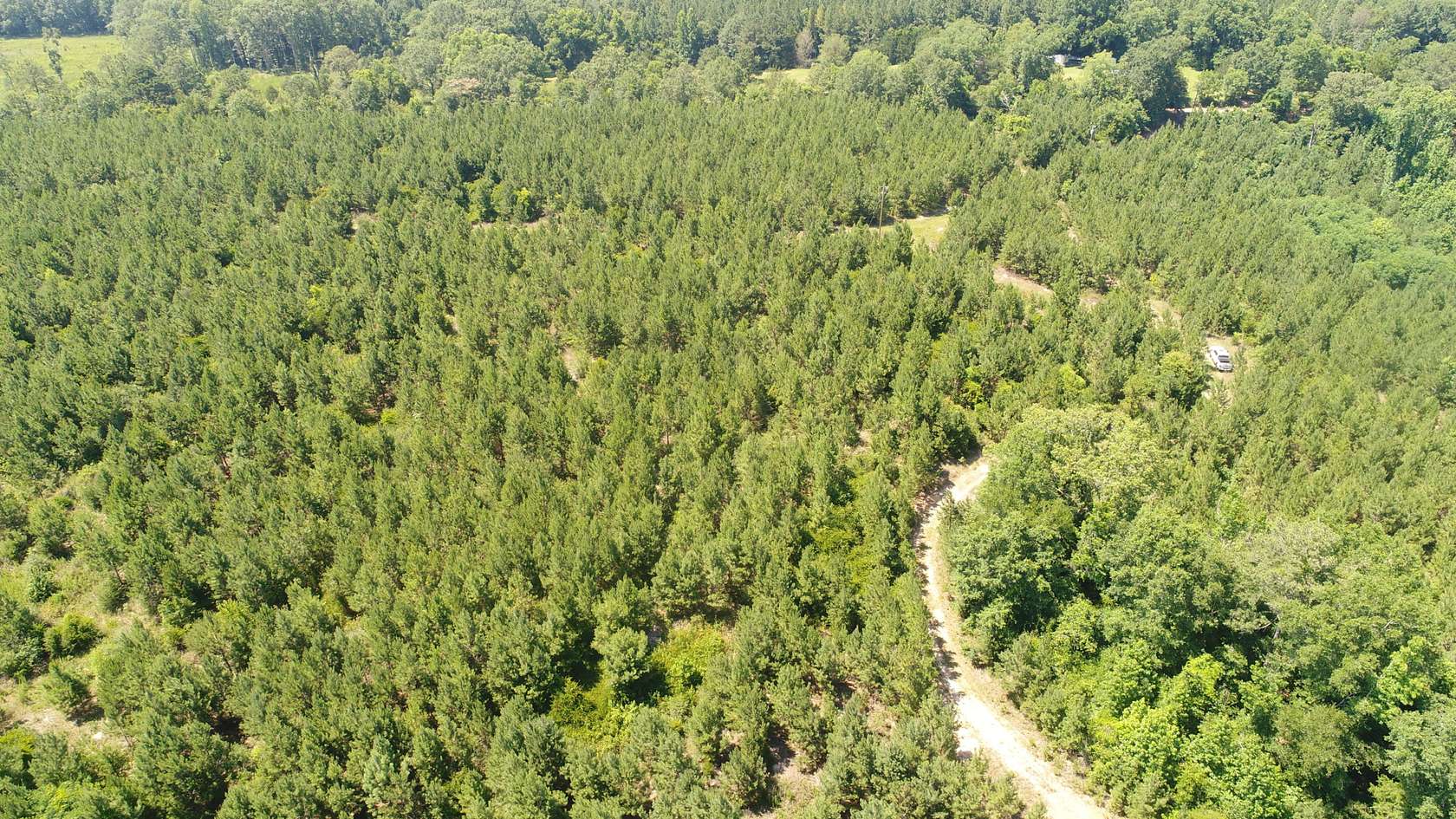109 Acres of Recreational Land for Sale in Patsburg, Alabama