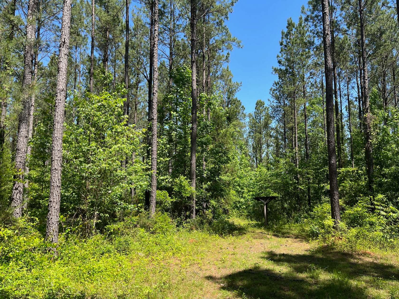 102 Acres of Recreational Land for Sale in Greenville, Alabama