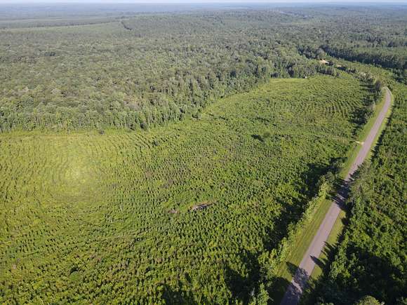 84 Acres of Recreational Land & Farm for Sale in Evergreen, Alabama
