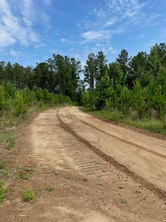 139 Acres of Recreational Land & Farm for Sale in Evergreen, Alabama