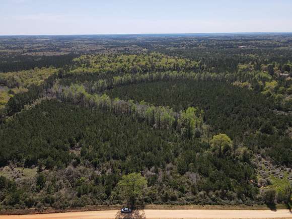46 Acres of Recreational Land & Farm for Sale in Andalusia, Alabama