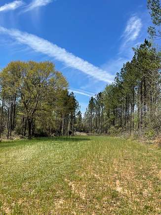 68 Acres of Recreational Land & Farm for Sale in Andalusia, Alabama