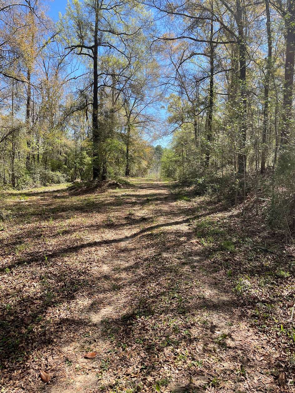 87 Acres of Recreational Land & Farm for Sale in Andalusia, Alabama