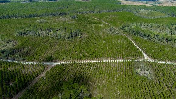 569 Acres of Recreational Land & Farm for Sale in Hosford, Florida