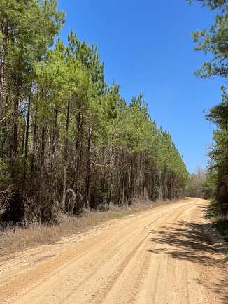 13 Acres of Recreational Land for Sale in Wing, Alabama