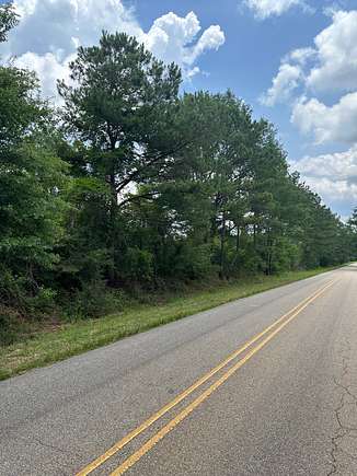15 Acres of Recreational Land for Sale in McKenzie, Alabama
