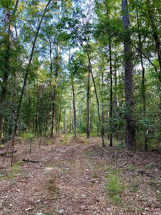 18 Acres of Recreational Land & Farm for Sale in Andalusia, Alabama