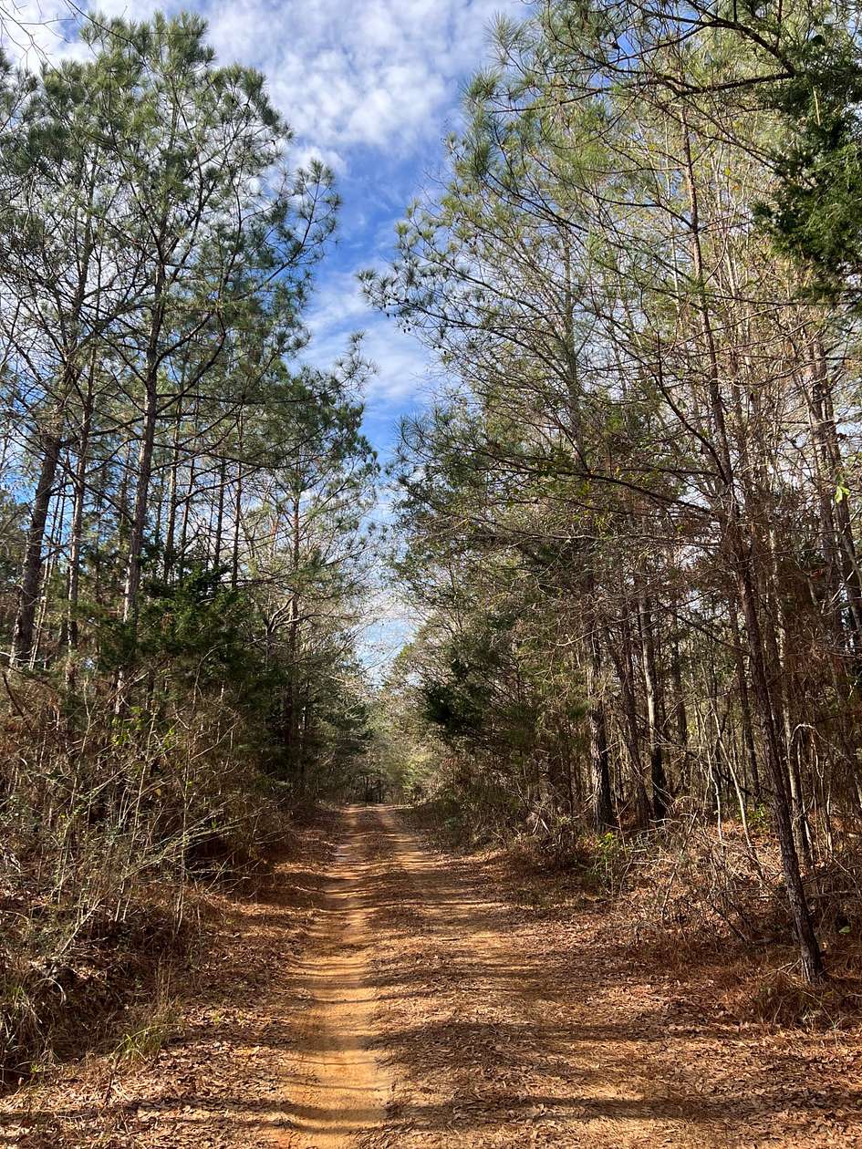 53 Acres of Improved Land for Sale in Greensboro, Alabama