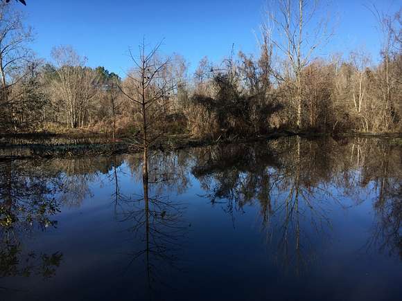 156 Acres of Recreational Land for Sale in Selma, Alabama