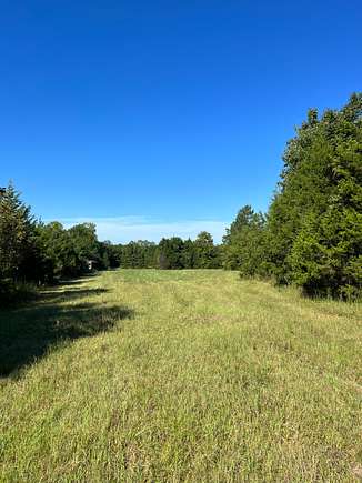 237 Acres of Land for Sale in Marion Junction, Alabama