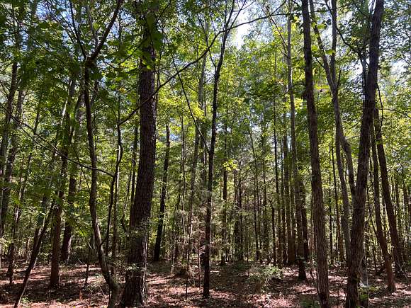 147 Acres of Recreational Land & Farm for Sale in Marion, Alabama