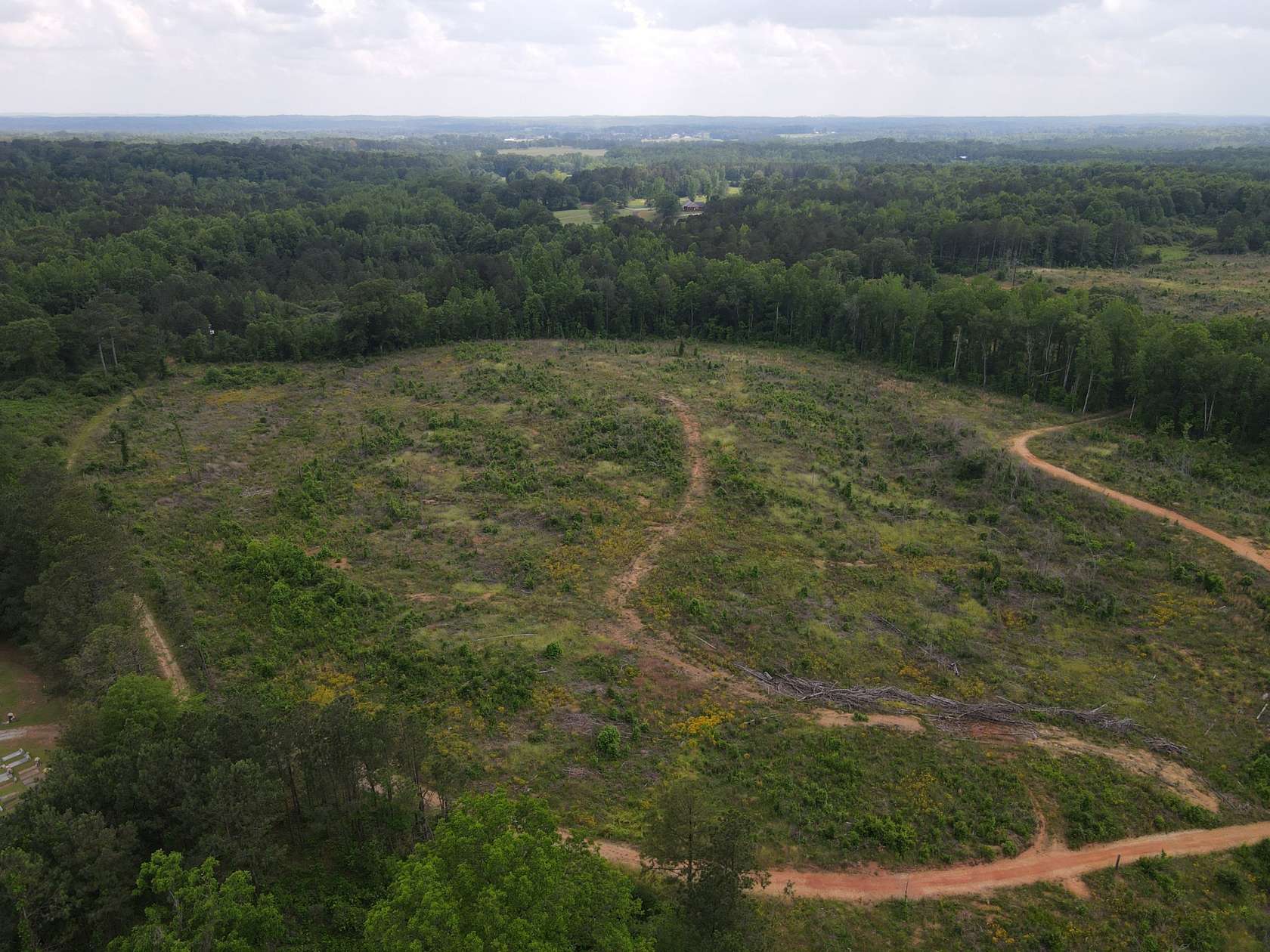 57 Acres of Recreational Land for Sale in Lineville, Alabama