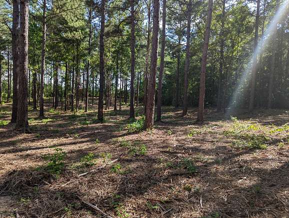 5 Acres of Land for Sale in Eclectic, Alabama