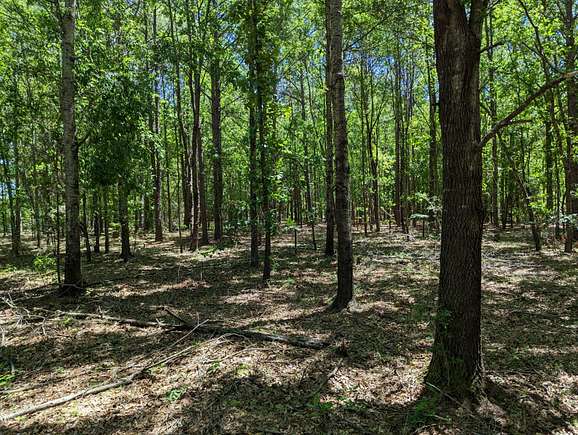 12 Acres of Recreational Land for Sale in Wallsboro, Alabama