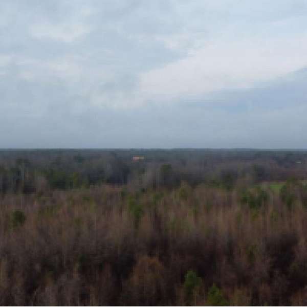 11.8 Acres of Recreational Land & Farm for Sale in Auburn, Alabama
