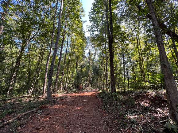 8.2 Acres of Recreational Land & Farm for Sale in Camp Hill, Alabama