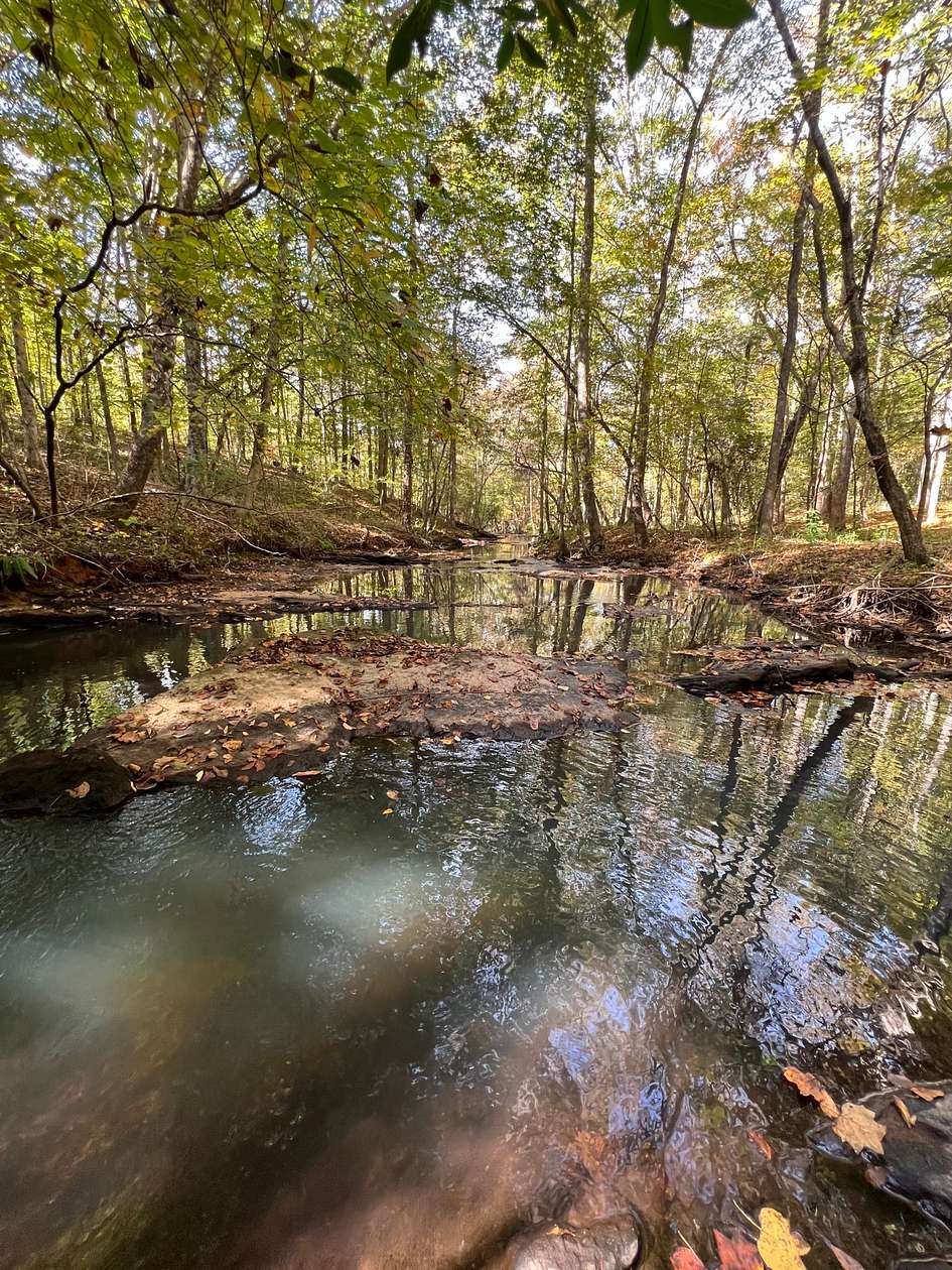 3 Acres of Improved Land for Sale in Auburn, Alabama
