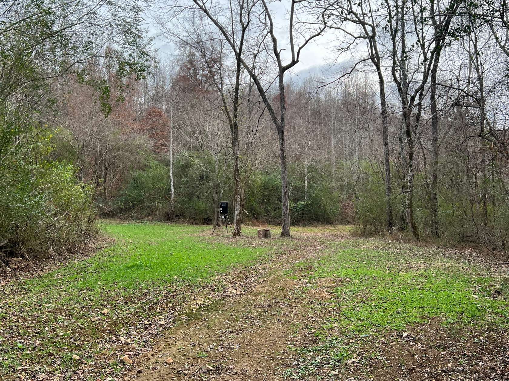 60 Acres of Recreational Land for Sale in Killen, Alabama