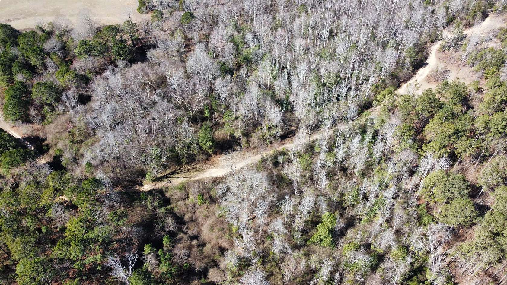10 Acres of Improved Land for Sale in Salem, Alabama