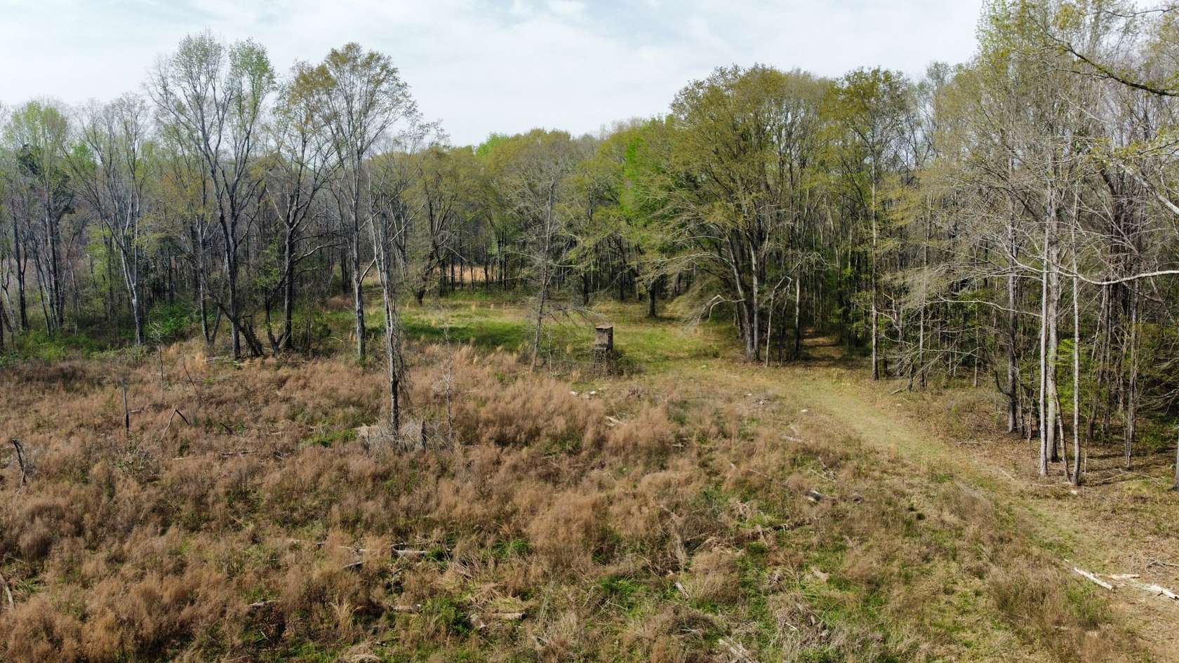 95 Acres of Improved Land for Sale in Shorter, Alabama