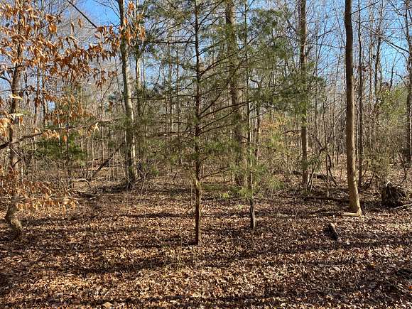 90 Acres of Recreational Land for Sale in Martin, Georgia