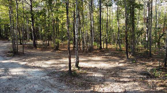 10 Acres of Land for Sale in Salem, Alabama
