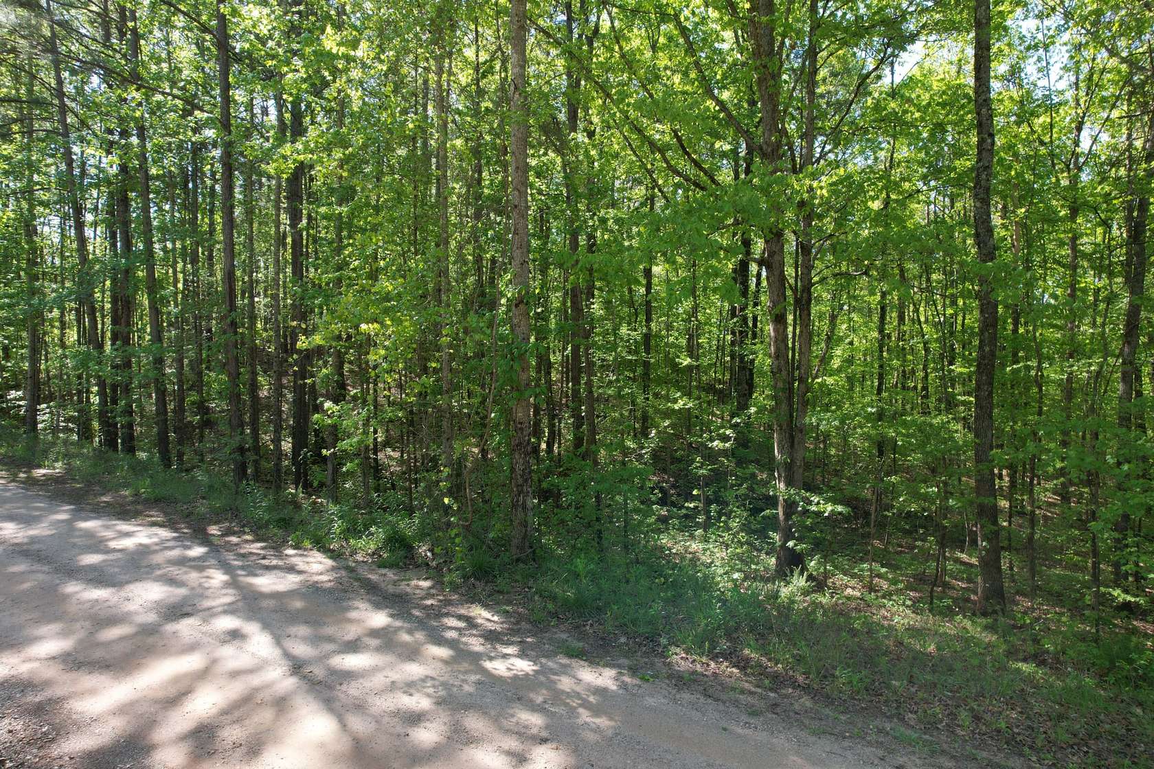 1 Acre of Residential Land for Sale in Roanoke, Alabama