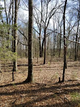 22 Acres of Improved Land for Sale in Lincoln, Alabama