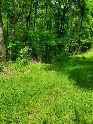 17 Acres of Improved Land for Sale in Columbiana, Alabama