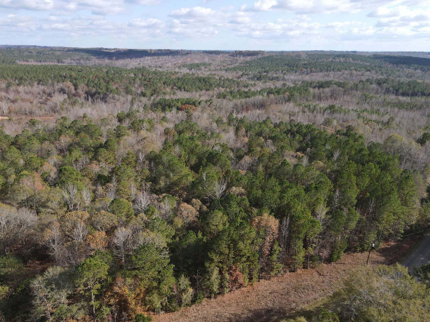 16 Acres of Land for Sale in Wadley, Alabama