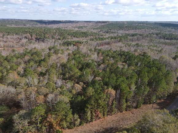 16 Acres of Improved Land for Sale in Wadley, Alabama