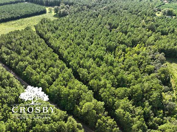 58 Acres of Recreational Land for Sale in Andrews, South Carolina