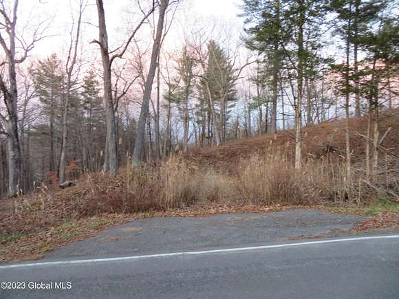 9.4 Acres of Land for Sale in Stuyvesant, New York