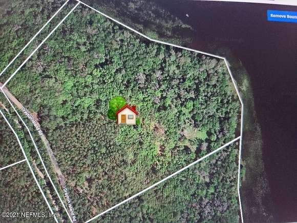 20 Acres of Land for Sale in Georgetown, Florida