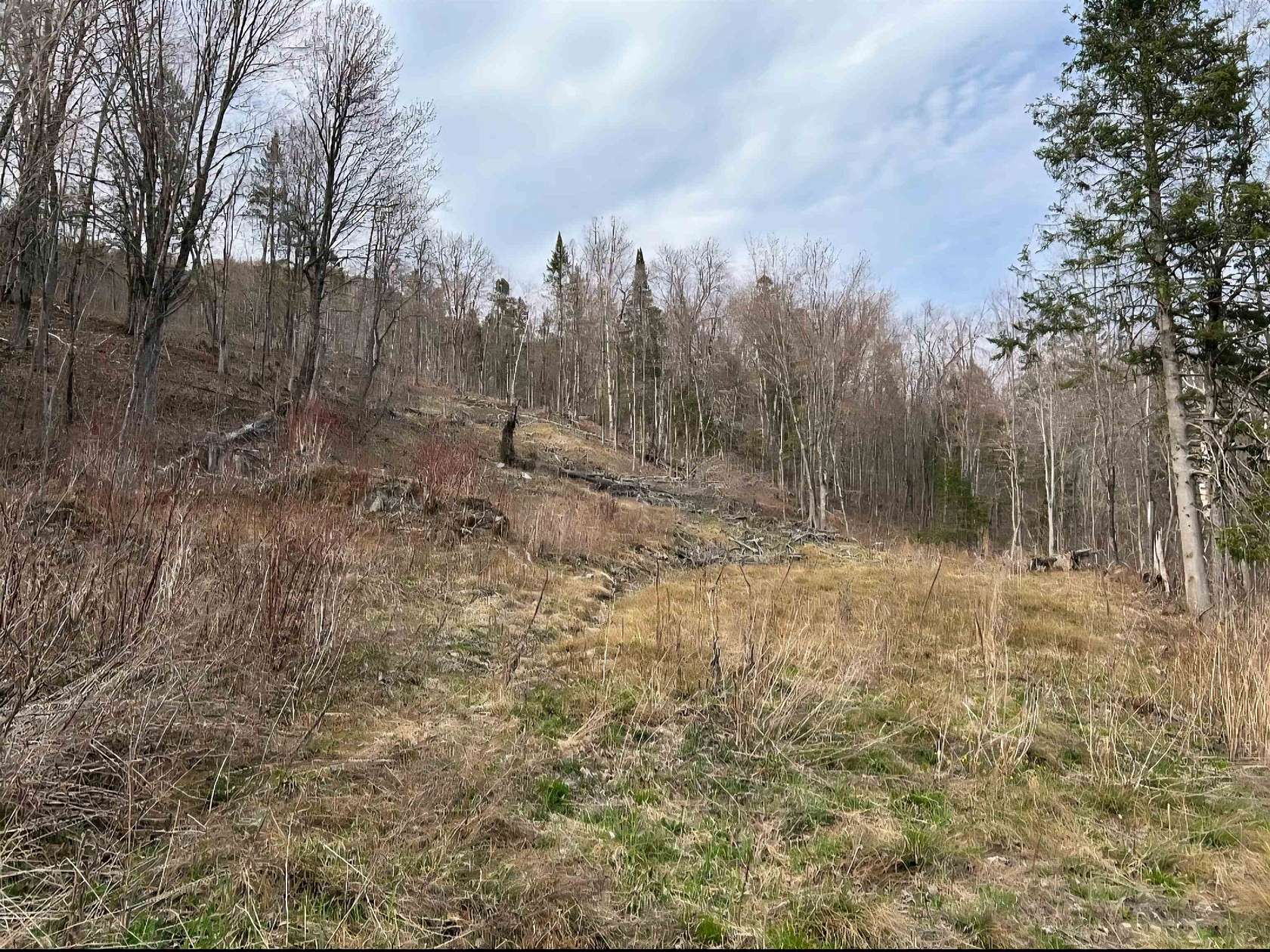 13.8 Acres of Land for Sale in Canaan, Vermont