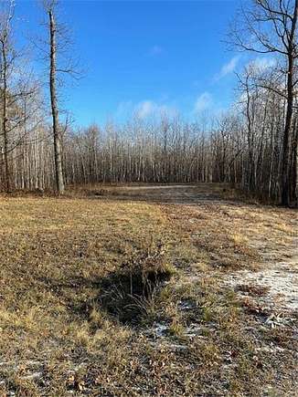 8 Acres of Residential Land for Sale in Wabedo Township, Minnesota