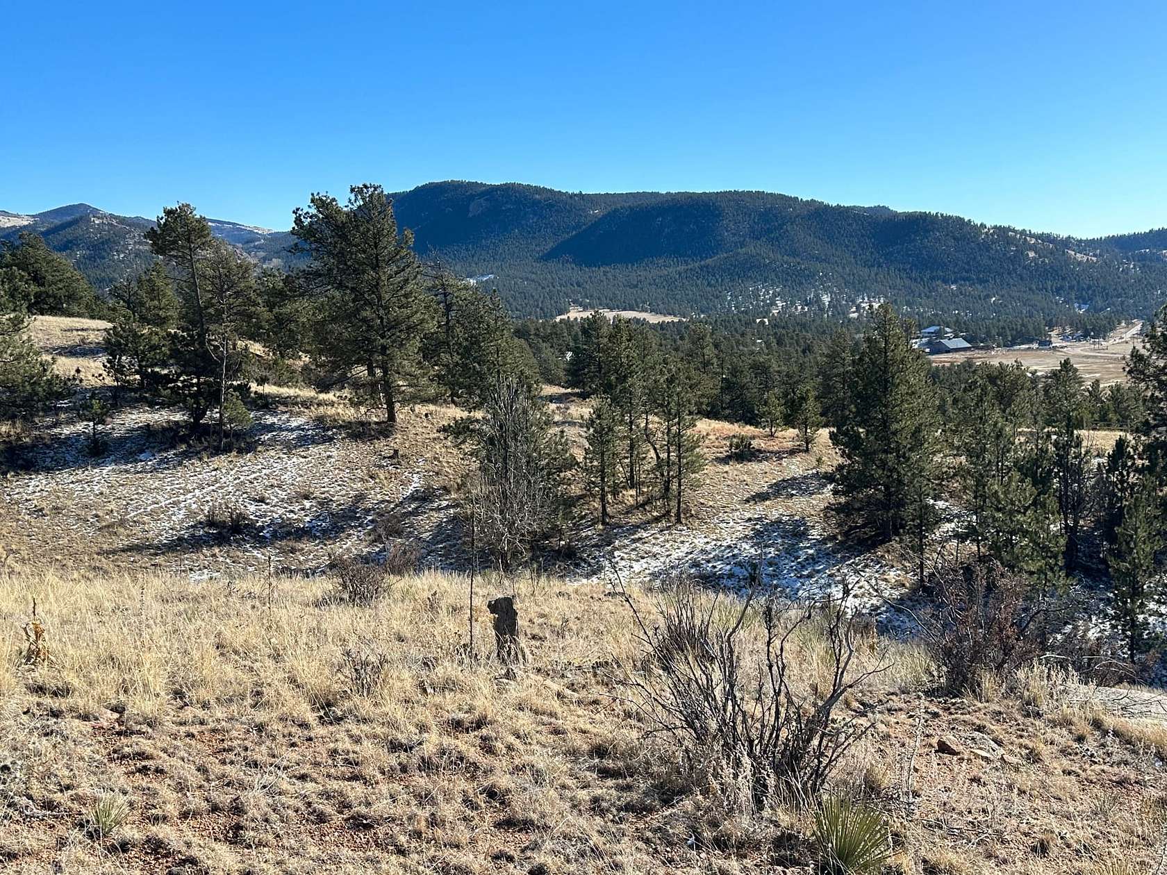 2.1 Acres of Recreational Land for Sale in Florissant, Colorado