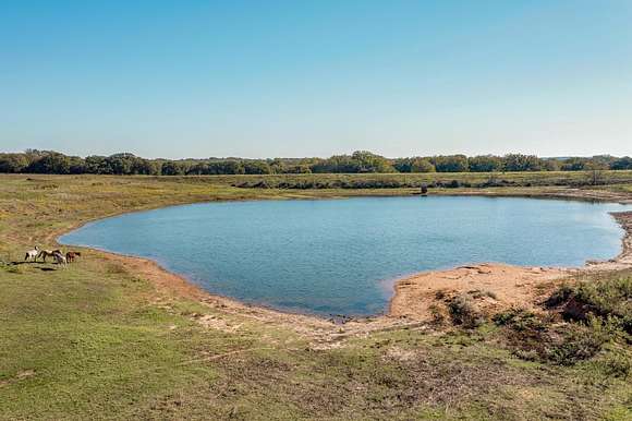 288 Acres of Recreational Land & Farm for Sale in Hillsboro, Texas